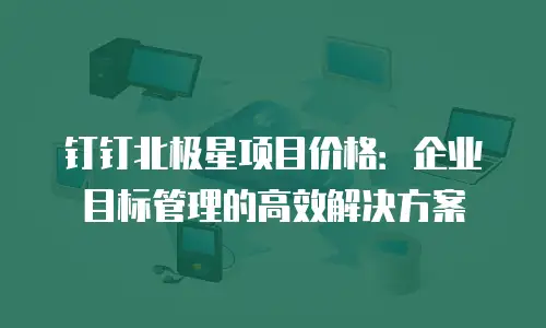 钉钉北极星项目价格：企业目标管理的高效解决方案