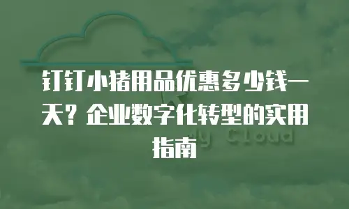 钉钉小猪用品优惠多少钱一天？企业数字化转型的实用指南