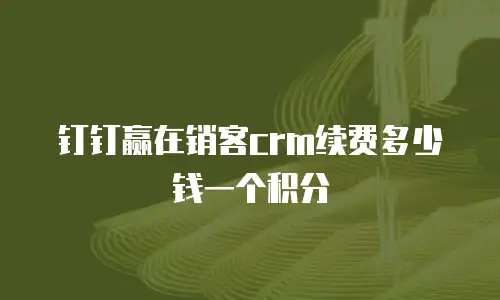 钉钉赢在销客crm续费多少钱一个积分