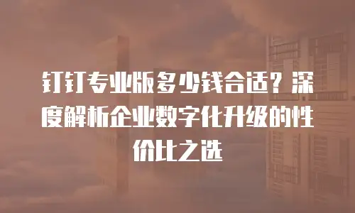 钉钉专业版多少钱合适？深度解析企业数字化升级的性价比之选