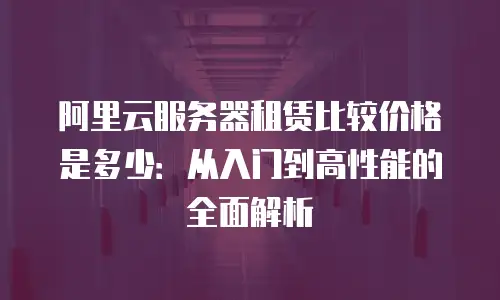 阿里云服务器租赁比较价格是多少：从入门到高性能的全面解析