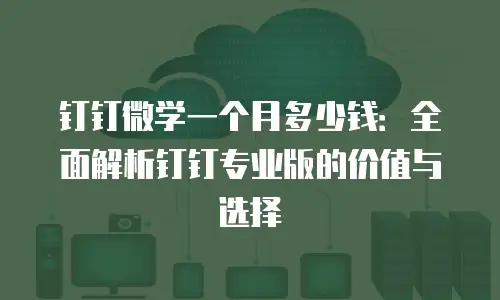 钉钉微学一个月多少钱：全面解析钉钉专业版的价值与选择