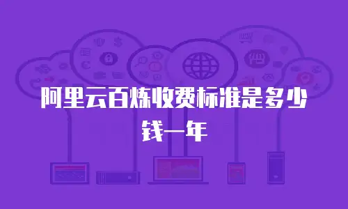 阿里云百炼收费标准是多少钱一年
