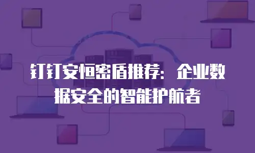 钉钉安恒密盾推荐：企业数据安全的智能护航者
