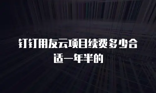 钉钉用友云项目续费多少合适一年半的