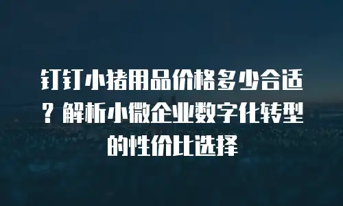 钉钉小猪用品价格多少合适？解析小微企业数字化转型的性价比选择