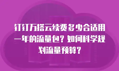钉钉万搭云续费多少合适用一年的流量包？如何科学规划流量预算？