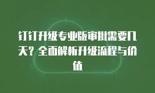 钉钉升级专业版审批需要几天？全面解析升级流程与价值