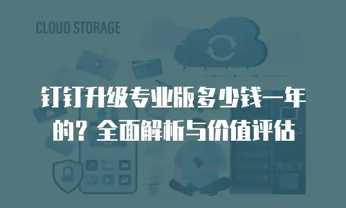 钉钉升级专业版多少钱一年的？全面解析与价值评估