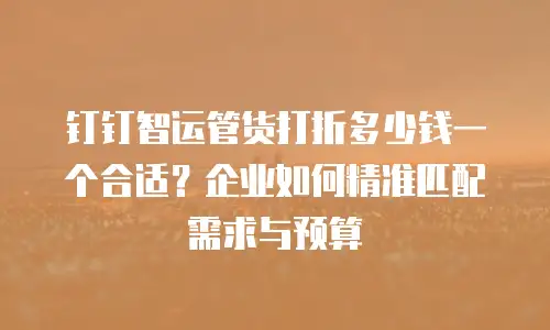 钉钉智运管货打折多少钱一个合适？企业如何精准匹配需求与预算