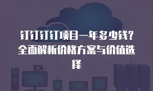 钉钉钉钉项目一年多少钱？全面解析价格方案与价值选择