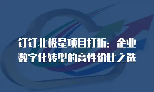 钉钉北极星项目打折：企业数字化转型的高性价比之选