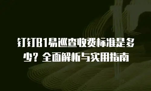 钉钉B1易巡查收费标准是多少？全面解析与实用指南