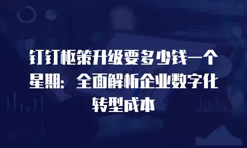 钉钉枢策升级要多少钱一个星期：全面解析企业数字化转型成本