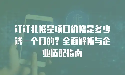 钉钉北极星项目价格是多少钱一个月的？全面解析与企业适配指南