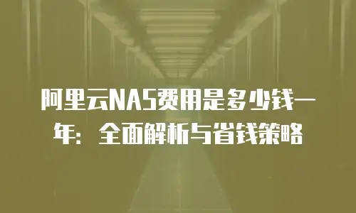 阿里云NAS费用是多少钱一年：全面解析与省钱策略