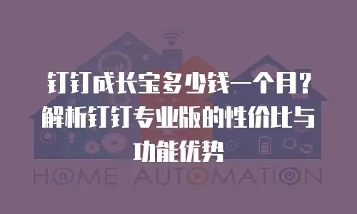 钉钉成长宝多少钱一个月？解析钉钉专业版的性价比与功能优势