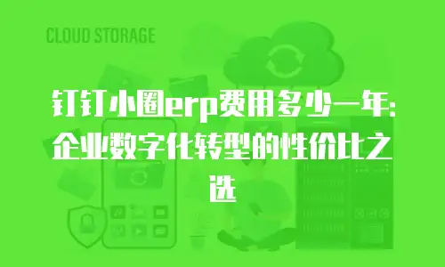 钉钉小圈erp费用多少一年：企业数字化转型的性价比之选