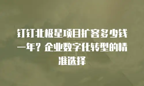 钉钉北极星项目扩容多少钱一年？企业数字化转型的精准选择