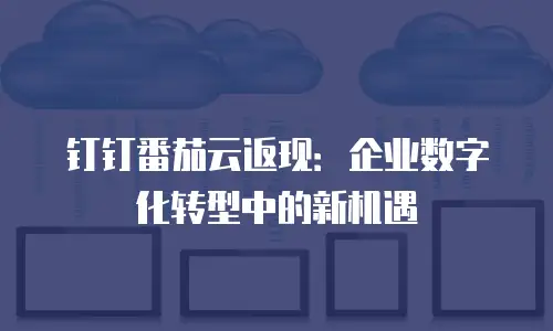 钉钉番茄云返现：企业数字化转型中的新机遇