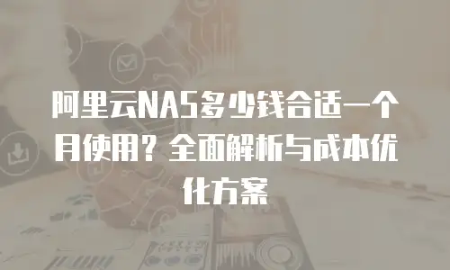 阿里云NAS多少钱合适一个月使用？全面解析与成本优化方案