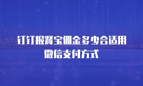 钉钉报餐宝佣金多少合适用微信支付方式