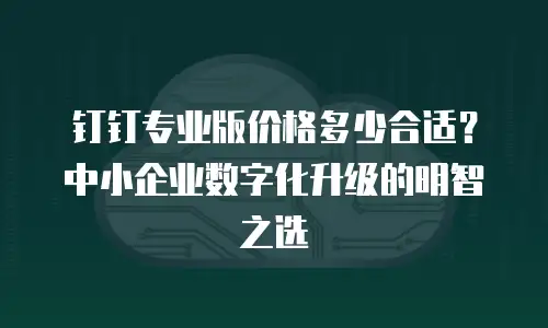 钉钉专业版价格多少合适？中小企业数字化升级的明智之选