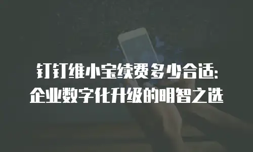 钉钉维小宝续费多少合适：企业数字化升级的明智之选