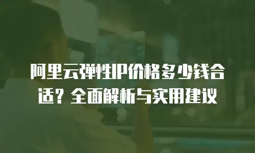 阿里云弹性IP价格多少钱合适？全面解析与实用建议