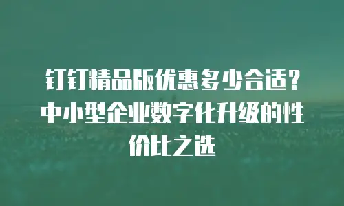 钉钉精品版优惠多少合适？中小型企业数字化升级的性价比之选