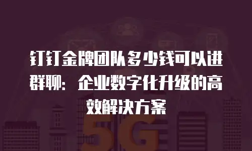 钉钉金牌团队多少钱可以进群聊：企业数字化升级的高效解决方案