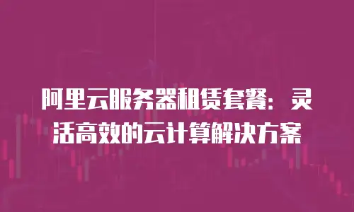 阿里云服务器租赁套餐：灵活高效的云计算解决方案