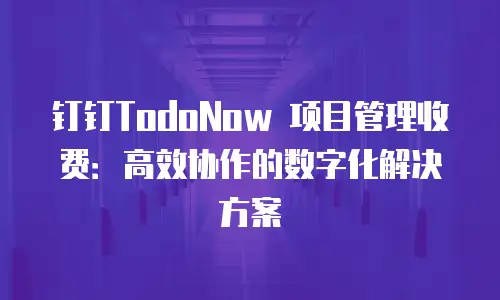 钉钉TodoNow 项目管理收费：高效协作的数字化解决方案