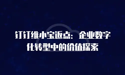钉钉维小宝返点：企业数字化转型中的价值探索