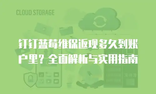 钉钉蓝莓维保返现多久到账户里？全面解析与实用指南