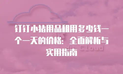 钉钉小猪用品租用多少钱一个一天的价格：全面解析与实用指南