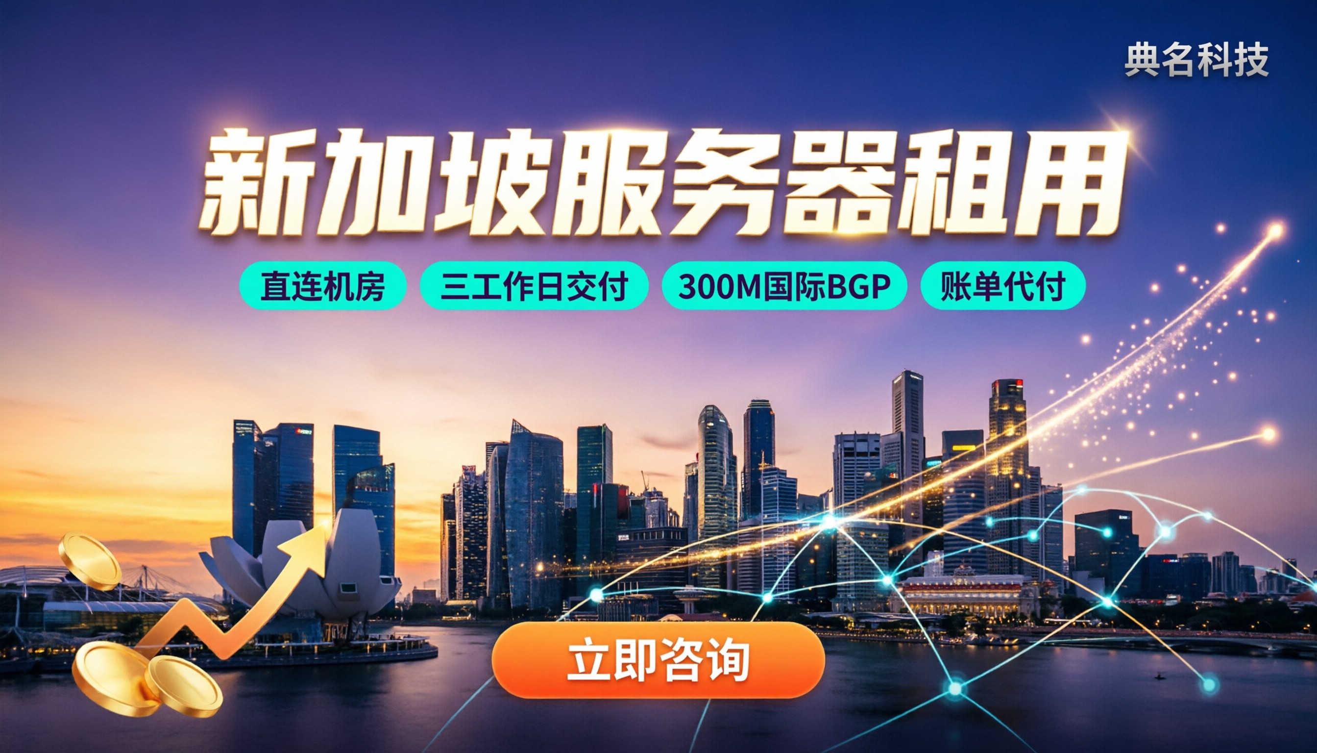 新加坡服务器租用:怎么对比更划算
