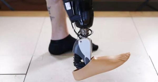 AI仿生进阶版本
