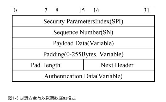 封装安全有效载荷数据包格式如图1-3所示