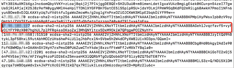 Mac客户端远程连接Linux系统的ECS实例失败