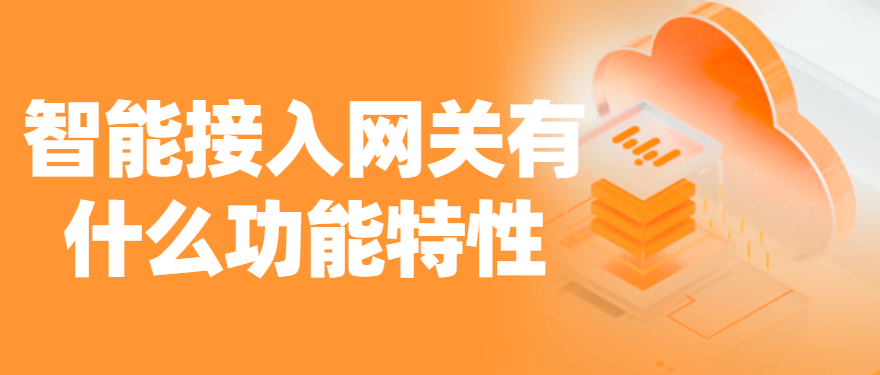 智能接入网关有什么功能特性