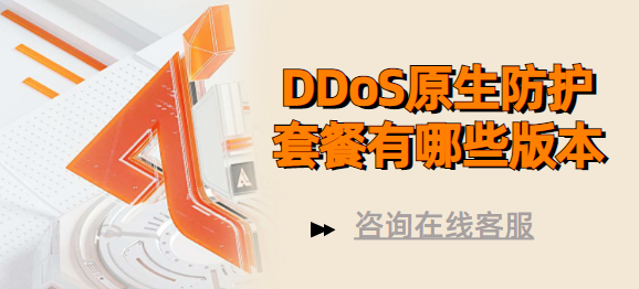 DDoS原生防护套餐有哪些版本