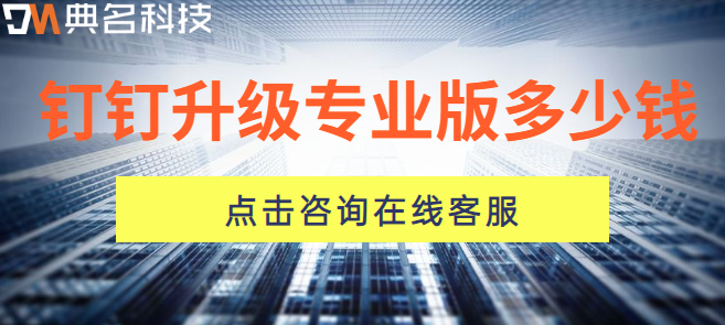 钉钉 购买 折扣：钉钉升级专业版多少钱