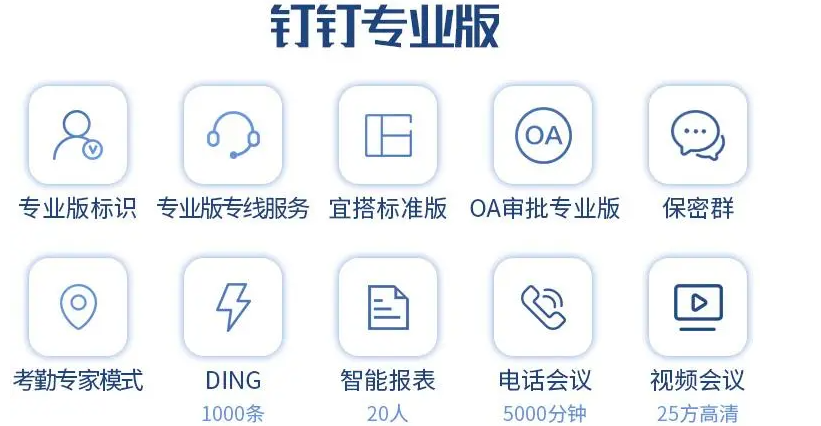 钉钉每年vip价格:钉钉vip收费标准