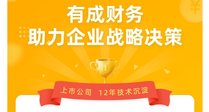 钉钉有成财务价格:有成财务收费价格多少钱