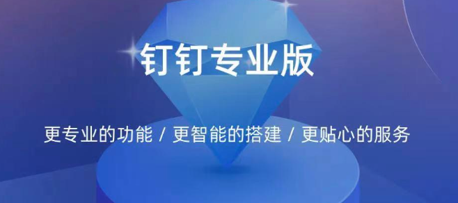 钉钉专业版费用：如何升级钉钉专业版