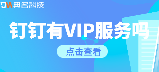 钉钉一对一服务费用？钉钉有VIP服务吗