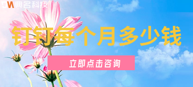 钉钉每个月多少钱