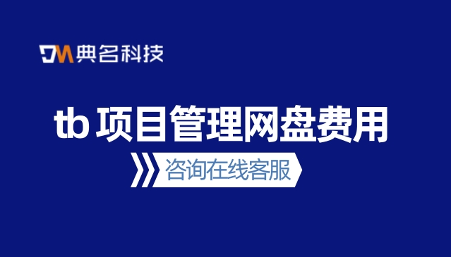 tb 项目管理网盘费用
