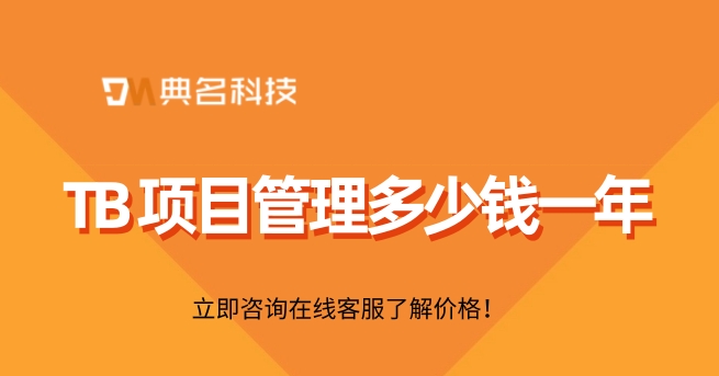 TB 项目管理多少钱一年